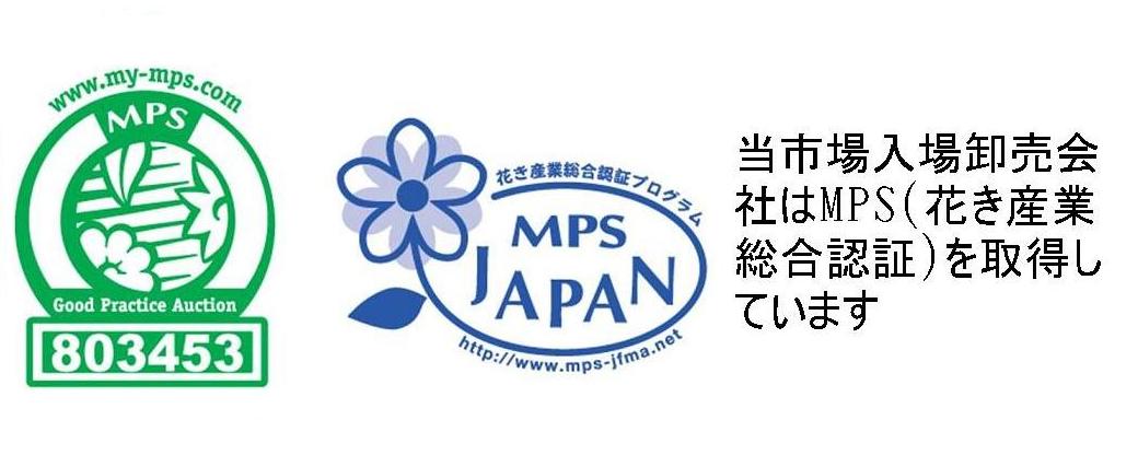 MPS